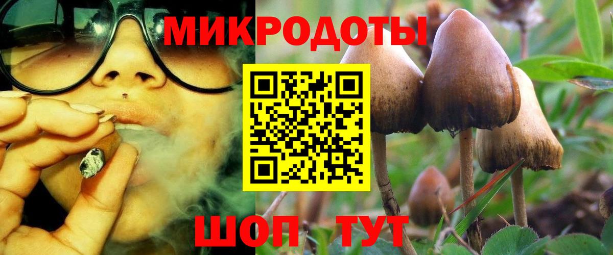 Галлюциногенные грибы прущие грибы  Вход с VPN  Шахты 
